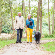 wandelen met hond op Landgoed Rennen Enk