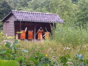 Bijenstal Landgoed Rennen Enk